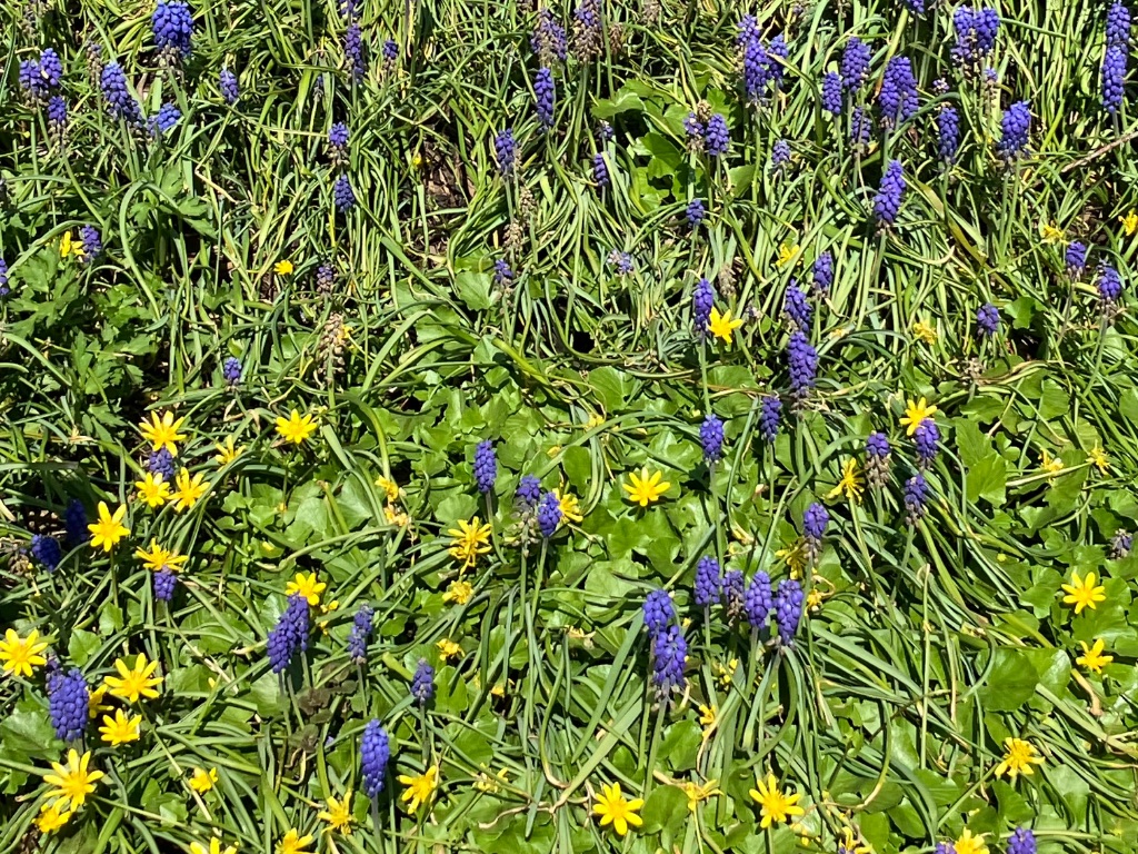 Dein Jahresbegleiter