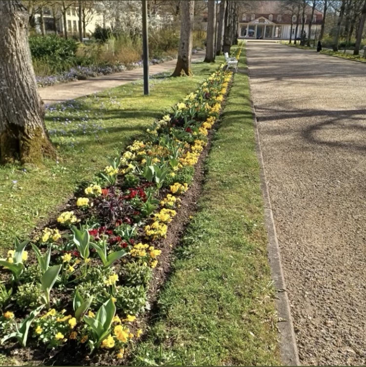 Dein Jahresbegleiter