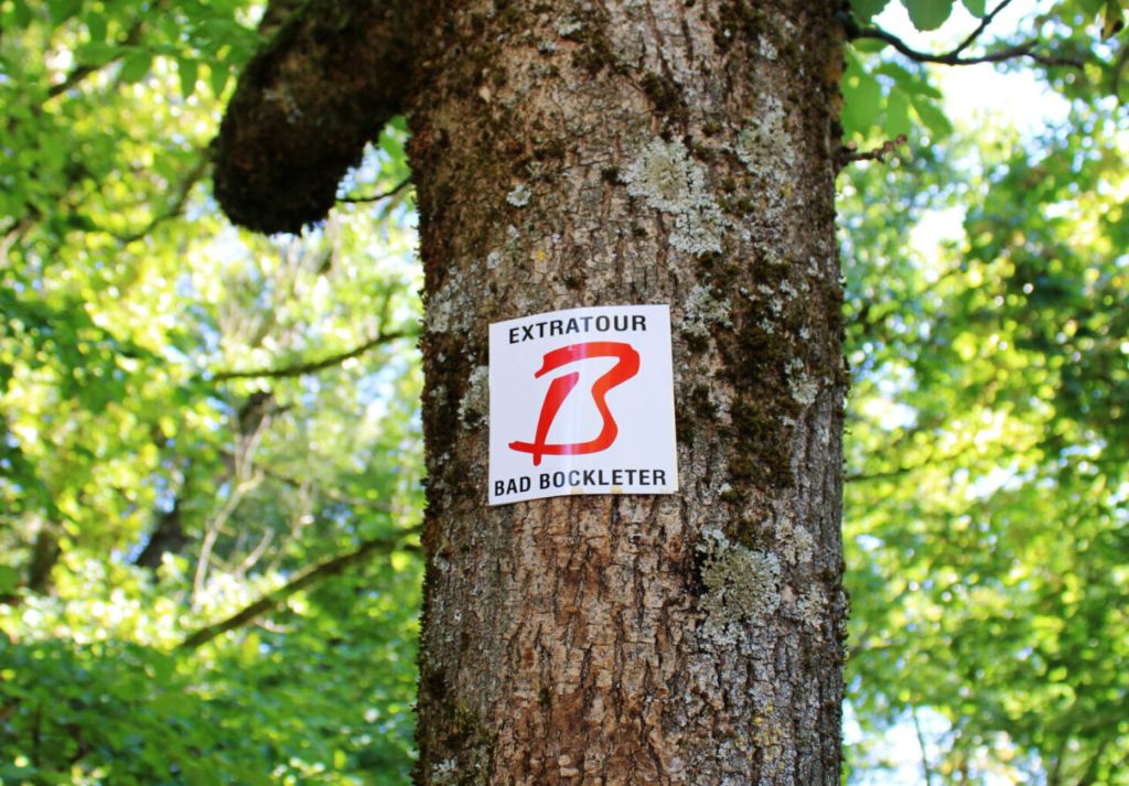 🌲 Gute Nachrichten aus dem Wald! 🌲