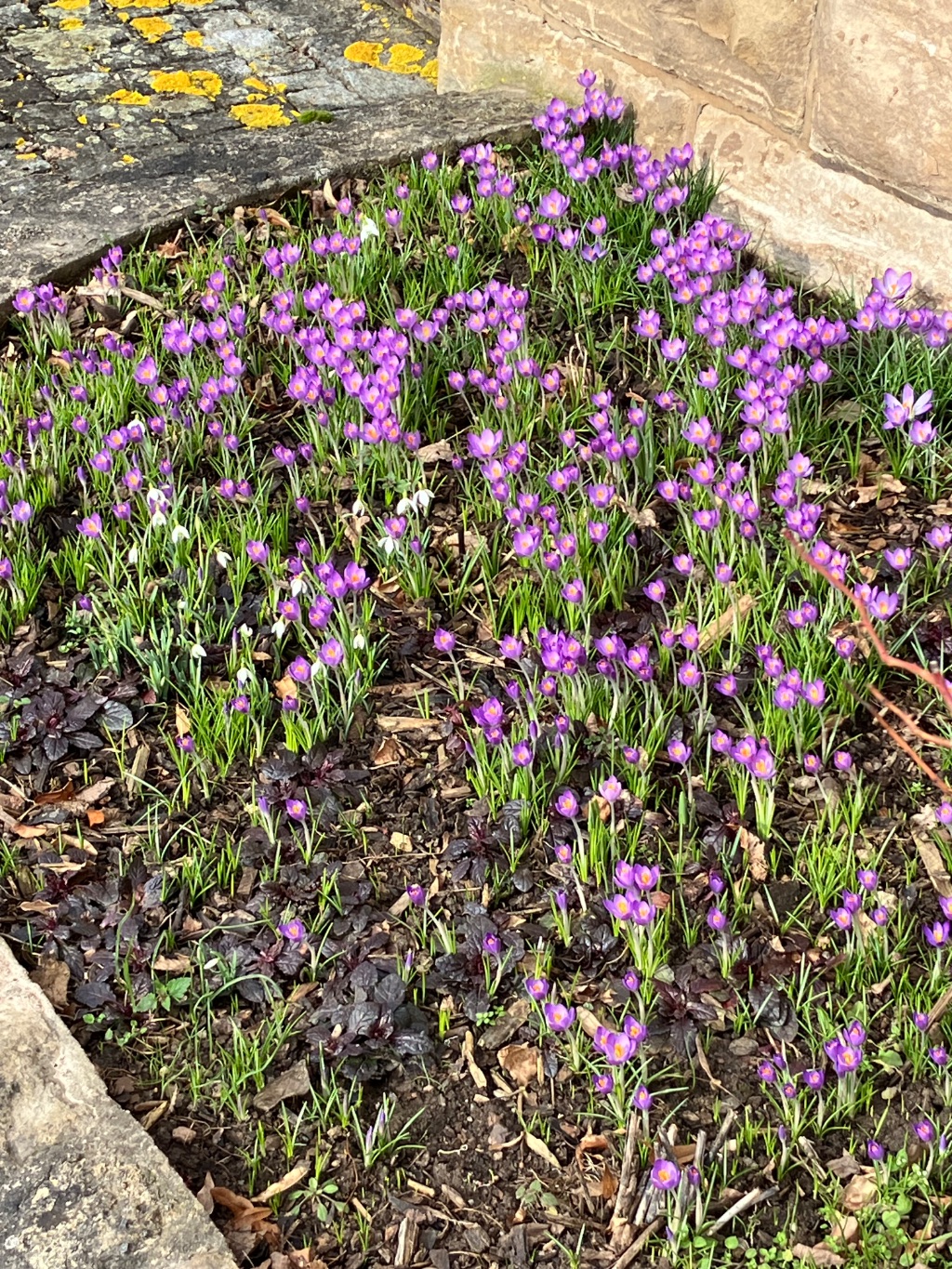 Dein Jahresbegleiter